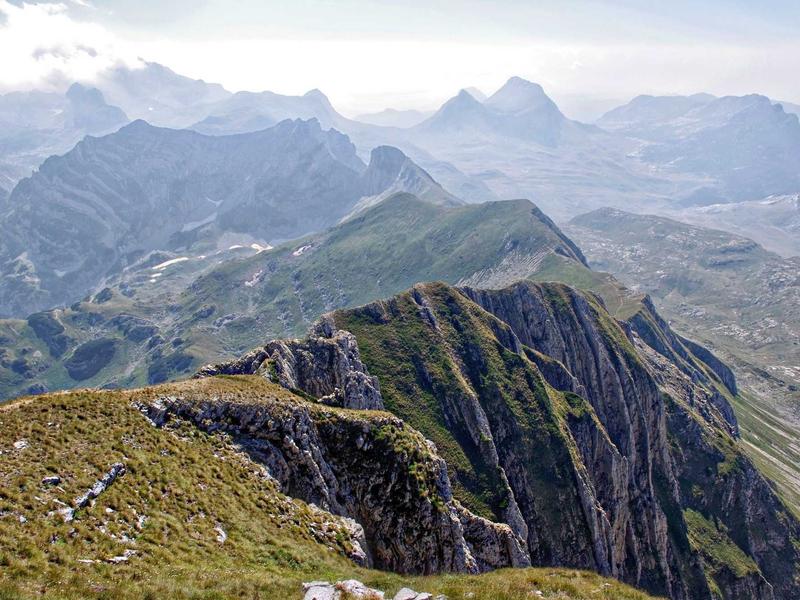 community screenshot 6