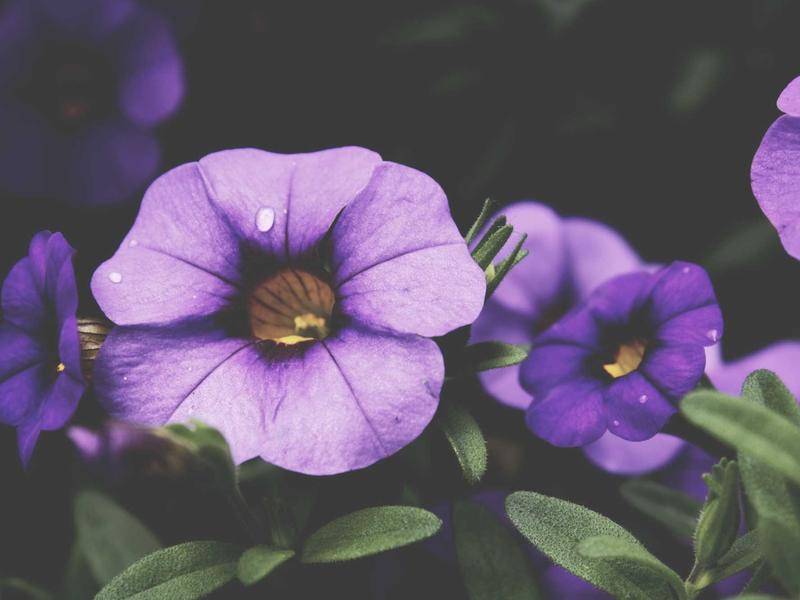 sudoku personal best screenshot 6