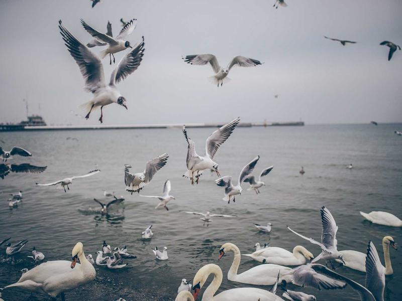 sudoku personal best screenshot 3