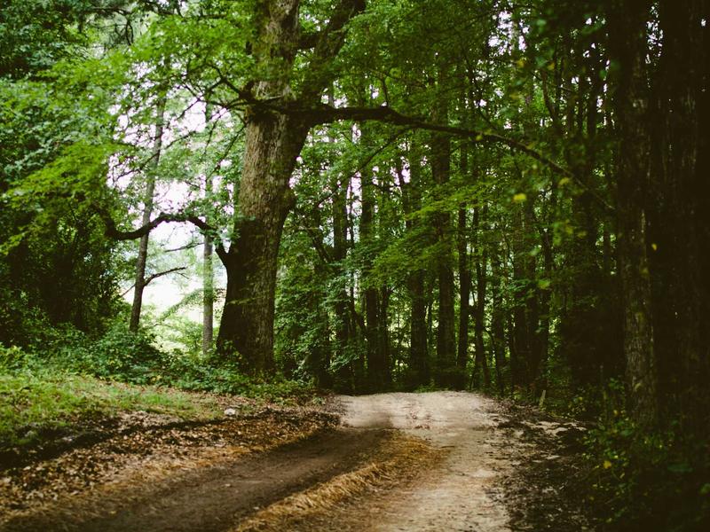 sudoku personal best